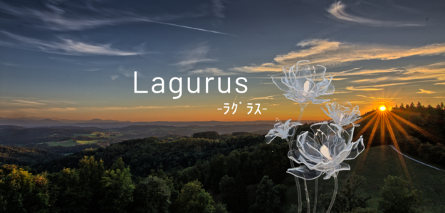 Lagurus-ﾗｸﾞﾗｽ-